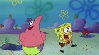 D'uh Howdy Y'all!