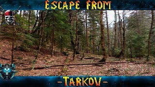 Escape From Tarkov "Егерь 2!" Остаться в Живых! (Лес)