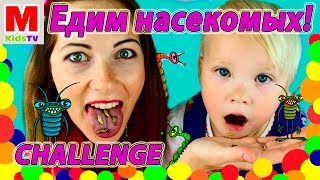 Челлендж Едим кузнечиков, червяков, саранчу Bush Tucker Trial Challenge