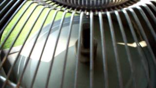 fans 4