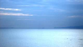 zd-SWEET AGNES / 高中正義 LIVE 1977