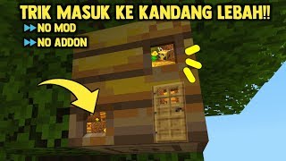 INI DIA! CARA UNIK MASUK KE KANDANG LEBAH *no mods*