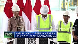 Jokowi Marah! Dua Pabrik Pupuk Tutup Saat Dunia Krisis Pupuk