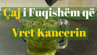 Sherimi i Kancerit te Gjirit, Kanceri mund te Sherohet me Këtë Çaj