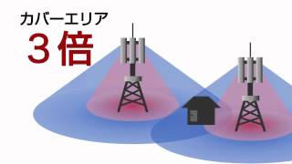 プラチナバンドについて