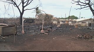 Sunday update on Maui brush fires