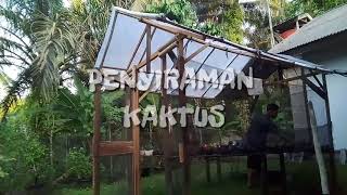 MY BUSSINES RUMAH KAKTUS