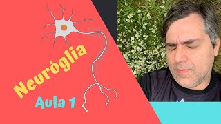 Células da glia e o sistema nervoso 1