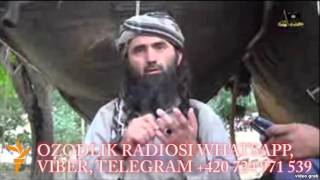 Толиблар Усмон Ғозий бошчилигидаги ИШИДчиларни тор-мор қилдими?