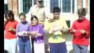 Dia de andalucia.Cole de gergal