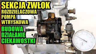 SEKCJA ZWŁOK, ROZDZIELACZOWA POMPA WTRYSKOWA, BUDOWA I DZIAŁANIE