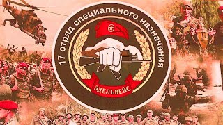 День отряда СПЕЦНАЗ "ЭДЕЛЬВЕЙС"