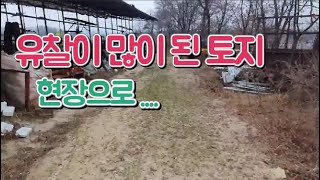 법원경매 많이 유찰된 토지 현장분석  낙찰 되었으나 공유자 우선매수됨 [부동산투자
