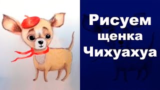 ? Как нарисовать чихуахуа пастелью. How to painting chihuahua pastel