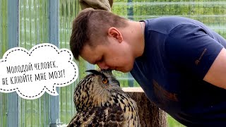 У совы Ёлки внезапный нежданный гость. И тут нашли!