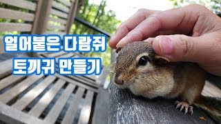 얼어붙은 다람쥐 토끼귀 만들고 윙크하기 - 쳐키편-