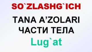 TANA A'ZOLARI. Русча узбекча лугат. ЧАСТИ ТЕЛА, Русско-узбекский словарь.