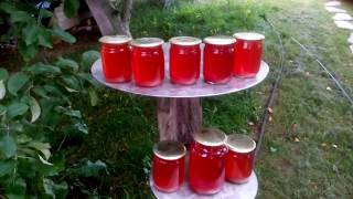 Смотрим пневмопресс для сока в работе! / pneumatic press for juice