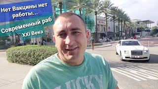 Раб Системы Принудительная вакцина Какие будут последствия? Теория заговора Курим только марихуану..