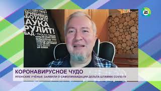 Научный журналист объяснил «японское чудо» - ТРК МИР24