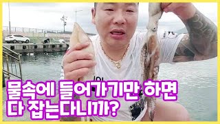 물 속에서 입으로 바다생물 물어오기