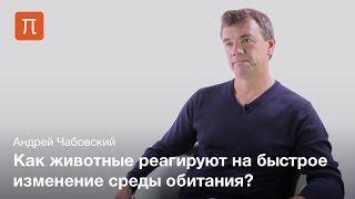 Динамика экосистем в Калмыкии — Андрей Чабовский