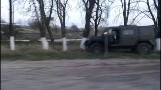 Рысь лезет на дерево. Крым. Военный автомобиль рысь врезался в дерево.
