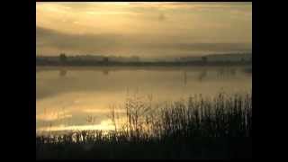 Беловежская Пуща. Озеро Лядское. Bialowieza Forest. Lake Lyadskoye