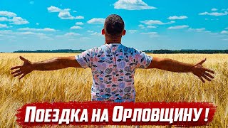 Первый стрим! Сбор средств.