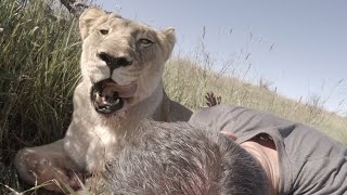 Meg & Amy KILL A Porcupine | The Lion Whisperer