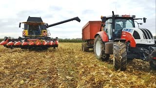 Уборка кукурузы на зерно | зерноуборочный комбайн New Holland CR8.80 | трактор Steyr 6160 CVT