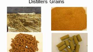 Byproduct Feeding with Dr. Galen Erickson (video 1 of 5)