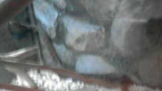 Erpetario edessa partouza