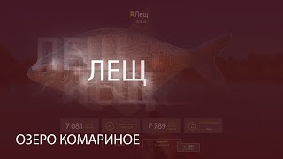 Русская Рыбалка 4! Russian Fishing 4! Озеро Комариное - Лещ! Для маленьких уровней!