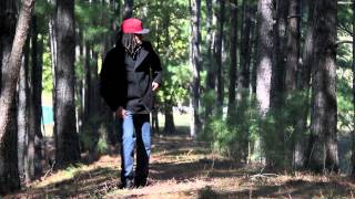 iGLIDE | FOREST ANIMATION