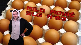 Maître Panda -  Milo Moiré - SLG N°83