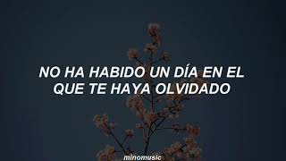 Spring Day - BTS [Traducida al Español]