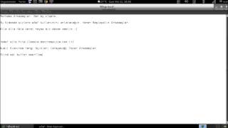 Kali Lİnux in w3af Tutorial On Dominos Pizza