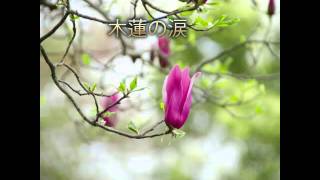 木蓮の涙　アコースティックバージョン　ウクレレソロ　うくぷれ