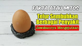 CEK SEKARANG.... TELUR BISA SEMBUHKAN PENYAKITBENAR ATAU SALAH??