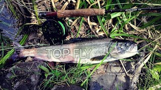 ТОПОВАЯ МУШКА НА ЛЕНКА И ХАРИУСА (TOPFLY)