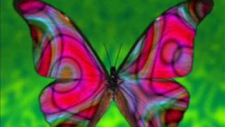 Gudrun Gut & Inga Humpe - Butterfly (1996)