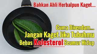 BARU TERUNGKAP... HANYA RUTIN MERENDAM DUAN INI, TUBUH BEBAS KOLESTEROL SELAMANYA