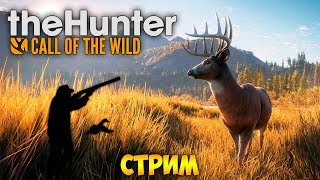 СИМУЛЯТОР ОХОТЫ. ПЕРВЫЙ РАЗ - The Hunter: Call of the Wild (стрим)