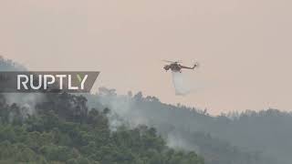 Greece: Helicopters continue battling massive wildfires on Evia island