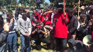 Anti Trump Protestors Burn American Flag