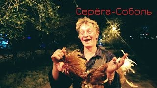 Грустный выпуск. Мужик в центре города разделывает, а потом готовит петуха в урне.
