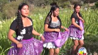 REGRESA MI AMOR1