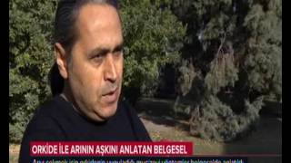 Yerli orkide belgeseli