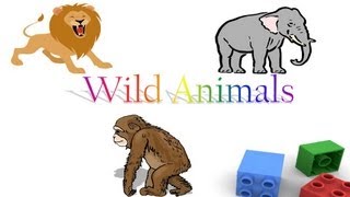 Wild animals for children, wild animal flash cards for preschool kids